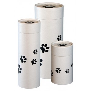 Pet Scatter Tubes – PRECIOUS PAWS